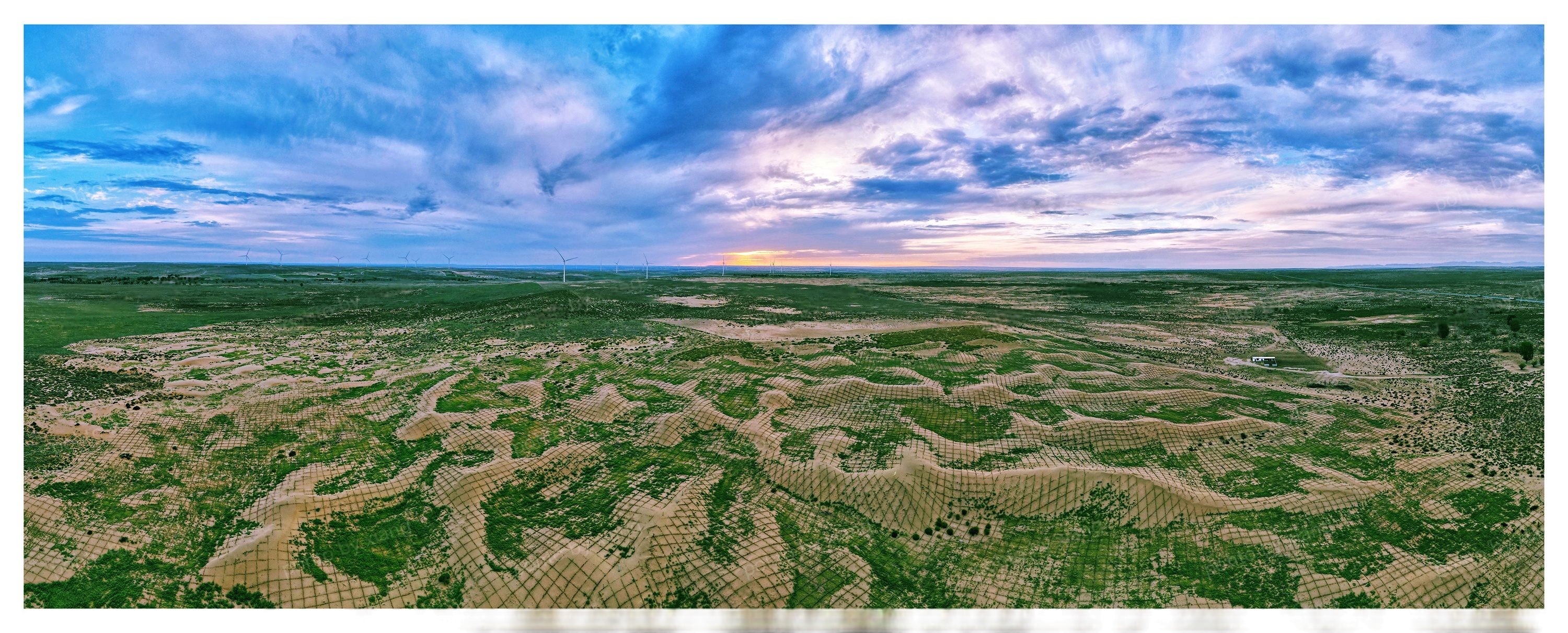 锦绣杭锦-沙漠网袜里的绿色